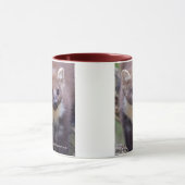 Marty Tasse (Zentrum)