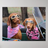 Marty & Zoe Poster (Vorne)