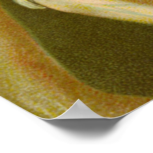 Martyrium von St. Agatha (M 003) Poster (Ecke)