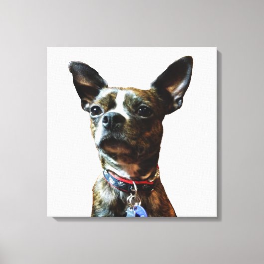 Marv-man Leinwanddruck (Vorderseite)