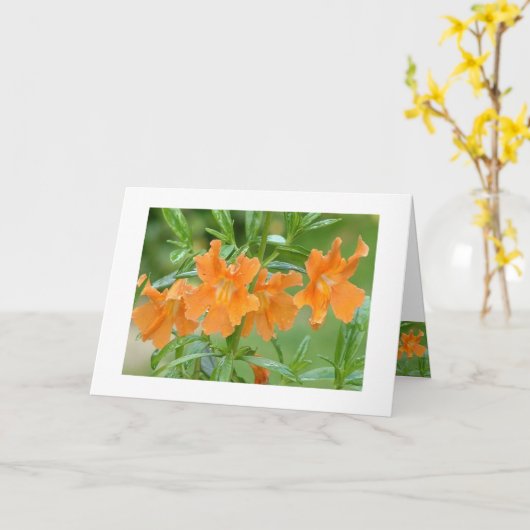 Marvelous Mimulus Notecard Karte (Gelbe Blume)