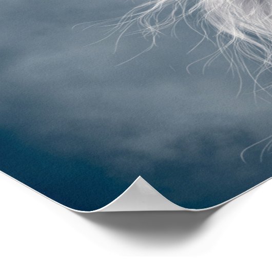 Marvelous White Pegasus Poster (Ecke)