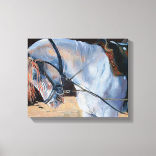 Marwari Horse Rajasthan 2010 Leinwanddruck