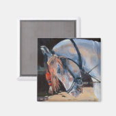 Marwari Horse Rajasthan 2010 Magnet (Vorderseite/Rückseite)