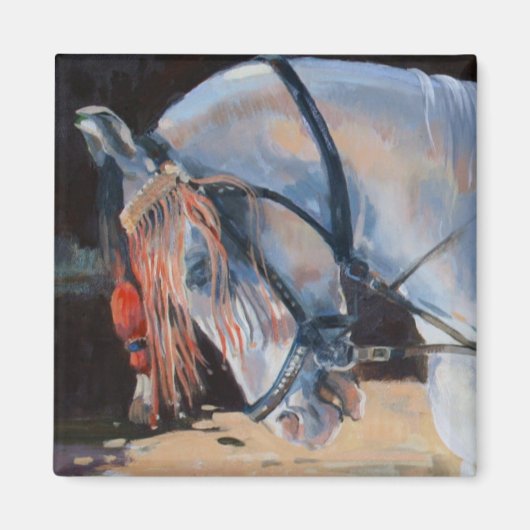 Marwari Horse Rajasthan 2010 Magnet (Vorne)