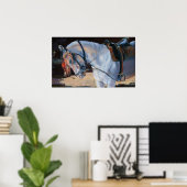 Marwari Horse Rajasthan 2010 Poster (Heimbüro)