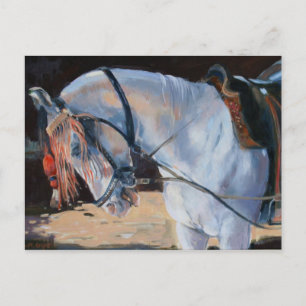 Marwari Horse Rajasthan 2010 Postkarte