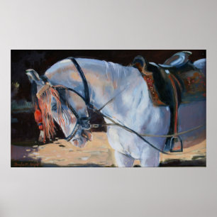 Marwari Pferd Rajasthan 2010 Poster