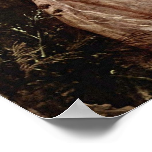 Mary Countess Howe von Thomas Gainsborough Poster (Ecke)