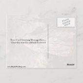 Mary Countess Howe von Thomas Gainsborough Postkarte (Rückseite)