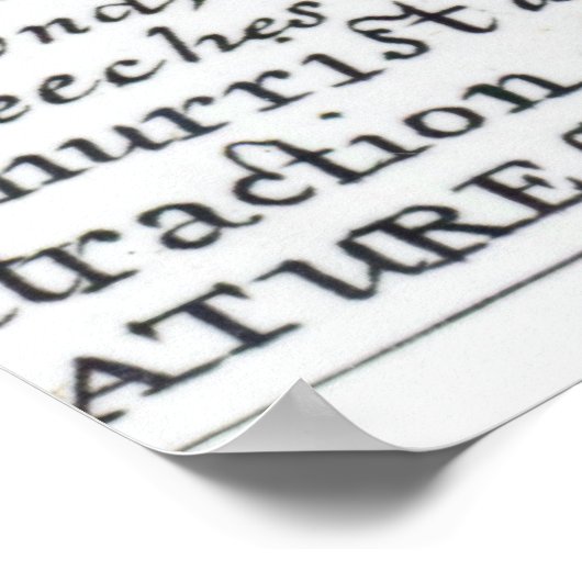 Mary Frith Poster (Ecke)