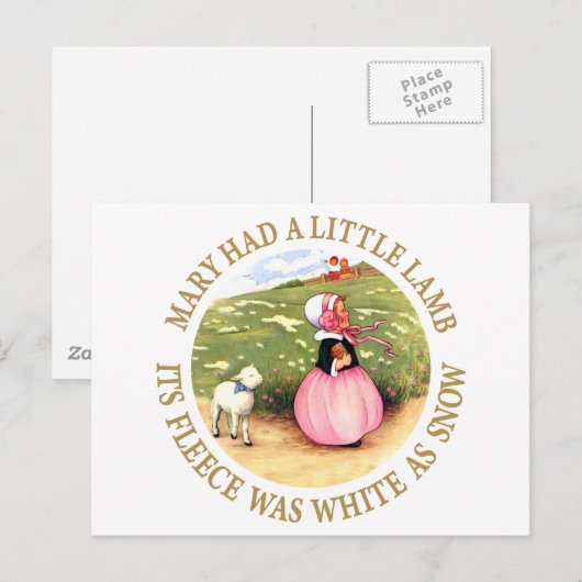 Mary hatte ein kleines Lamm Postkarte (Vorne/Hinten)