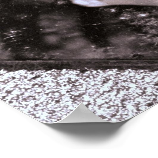 Mary Todd Lincoln Poster (Ecke)