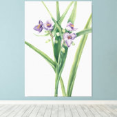 Mary Vaux Walcott art Leinwanddruck (Insitu (Holzboden))