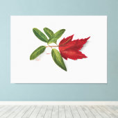 Mary Vaux Walcott painting Leinwanddruck (Insitu (Holzboden))