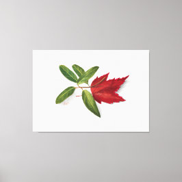 Mary Vaux Walcott painting Leinwanddruck