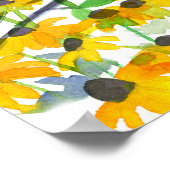 Maryland Baltimore Oriole Black Mit Augen Susans Poster (Ecke)