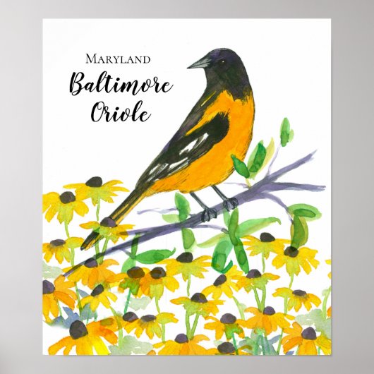 Maryland Baltimore Oriole Black Mit Augen Susans Poster (Vorne)