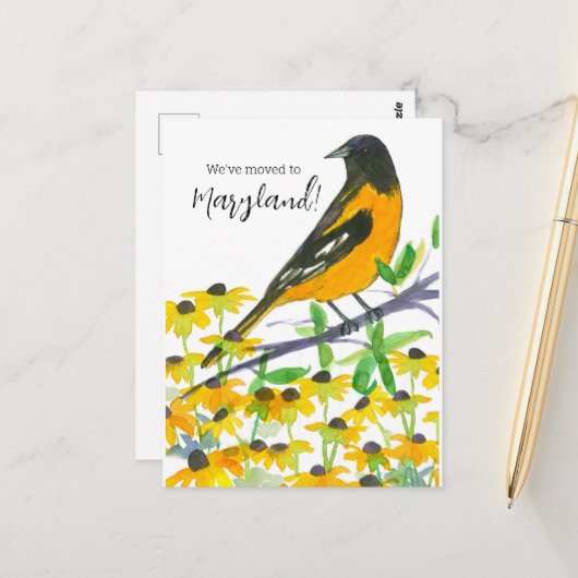 Maryland Baltimore Oriole Postkarte (Vorderseite/Rückseite Beispiel)