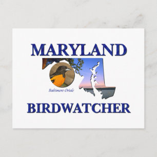 Maryland Birdwatcher Postkarte
