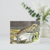 Maryland Blue Crab Postkarte (Stehend Vorderseite)