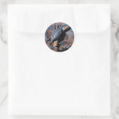 Maryland Blue Crab Runder Aufkleber (Tasche)