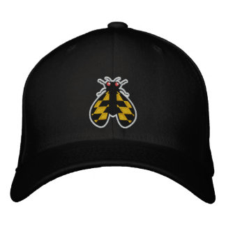 Maryland Brood X Cicada Black Hat Bestickte Baseballkappe