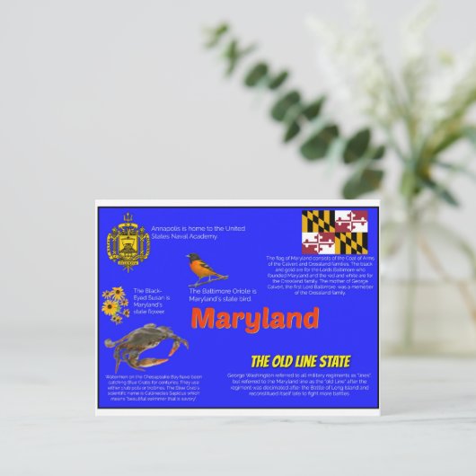 Maryland Facts Postcard Postkarte (Stehend Vorderseite)