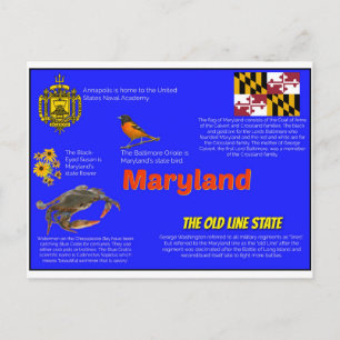 Maryland Facts Postcard Postkarte