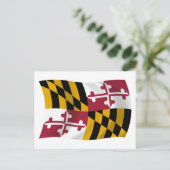 Maryland Flag Postcard Postkarte (Stehend Vorderseite)