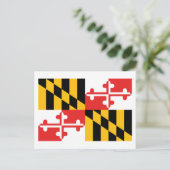 Maryland-Flagge Postkarte (Stehend Vorderseite)