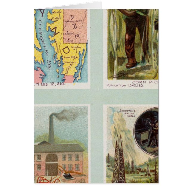 Maryland, Georgien, Illinois, Pennsylvania (Vorne)