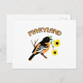 Maryland Oriole Postkarte (Vorne/Hinten)