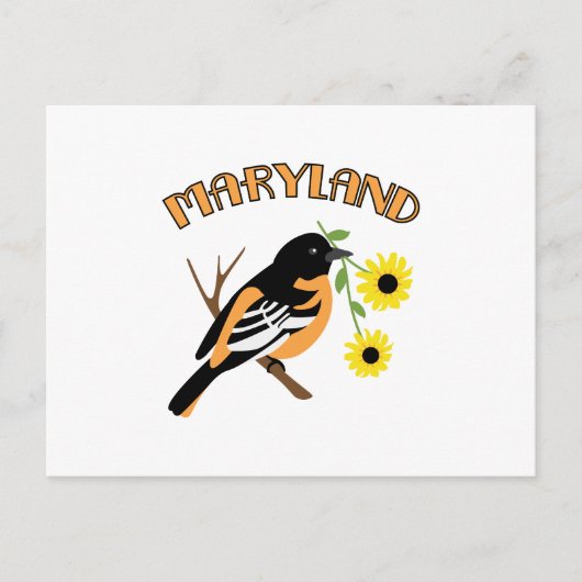 Maryland Oriole Postkarte (Vorderseite)