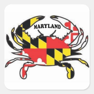 MARYLAND QUADRATISCHER AUFKLEBER
