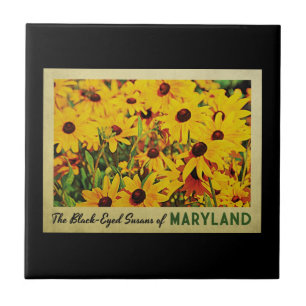 Maryland Schwarz-Mit Augen Susans Fliese