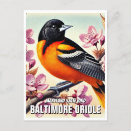 Maryland Staat Bird Baltimore Oriole Postkarte