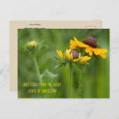 Maryland Staat Blume Postkarte (Vorne/Hinten)