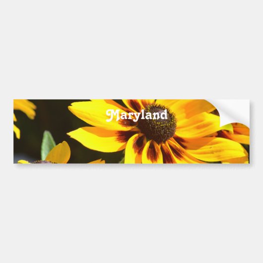 Maryland-Staats-Blume Autoaufkleber (Vorne)