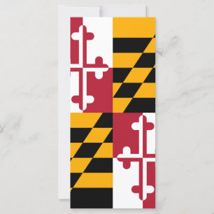 Maryland State Flag Colors Decor
