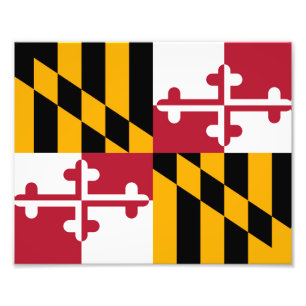Maryland State Flag Design Decoration Fotodruck
