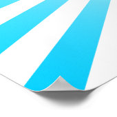 Maryland Stolz. Poster (Ecke)