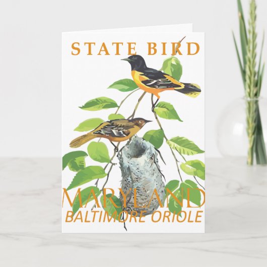 Maryland Territory Bird The Icterus galbula Feiertagskarte (Vorderseite)