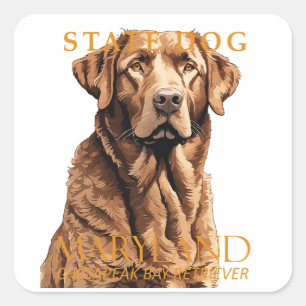 Maryland Territory Dog Retriever 2 Quadratischer Aufkleber