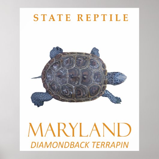 Maryland Territory Reptile the Freshwater Turtle Poster (Vorne)