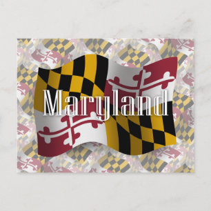 Maryland Waving Flag Postkarte