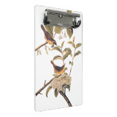 Maryland Yellowthroat Audubon Birds in Olive Tree Mini Klemmbrett (Schrägansicht)