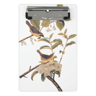 Maryland Yellowthroat Audubon Birds in Olive Tree Mini Klemmbrett