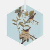Maryland Yellowthroat Audubon Birds mit Blume Ornament Aus Glas (Rückseite)