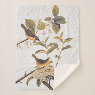 Maryland Yellowthroat Audubon Birds mit Blume Sherpadecke